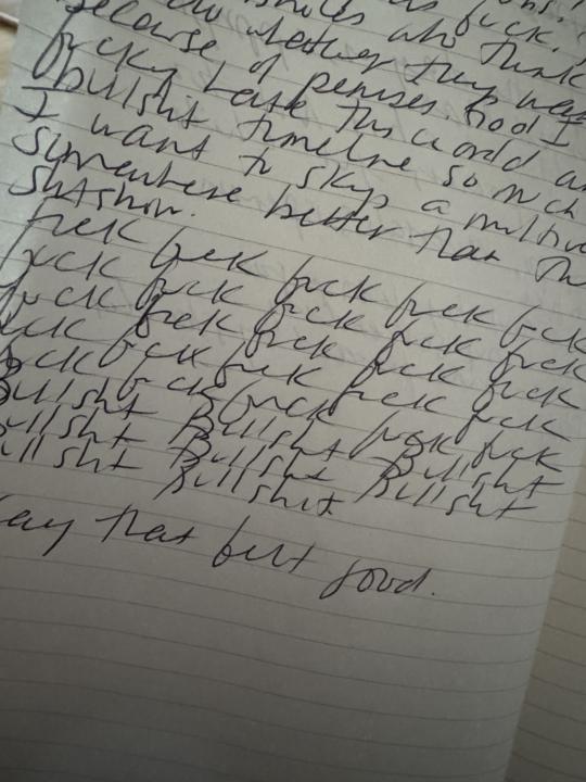 Some journaling prompts when things feel overwhelming