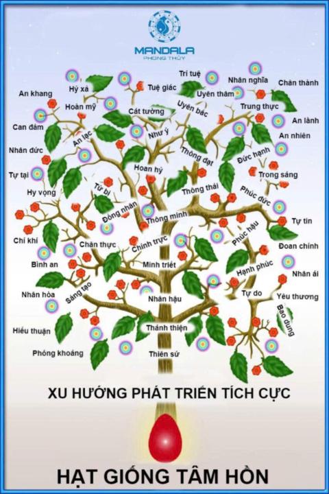 Mạnh Cường Bùi