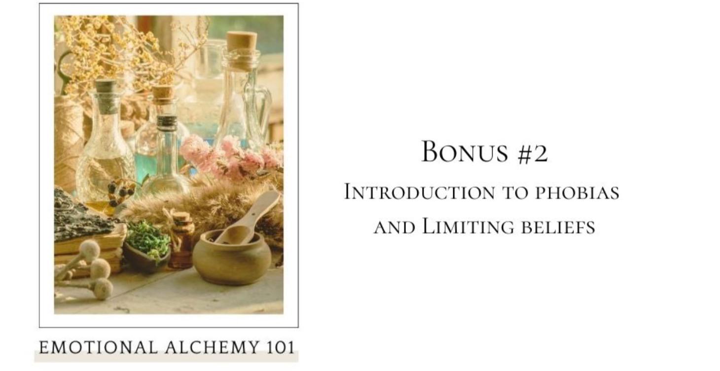 Emotional Alchemy Bonus #2