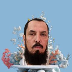 Khulaif Alrashidi