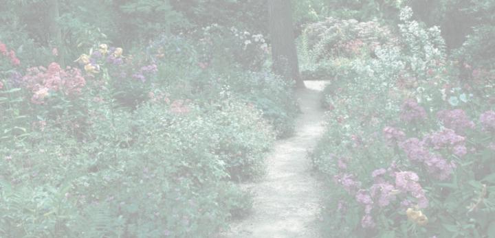 Breakthroughs International