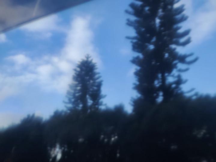 蘇 家瑀
