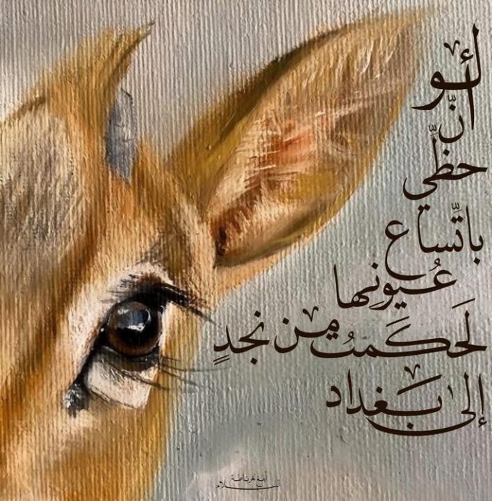 أفنان عبدالله