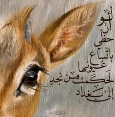 أفنان عبدالله