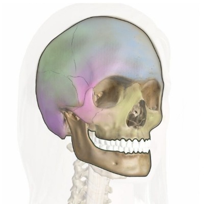 Cranial Code