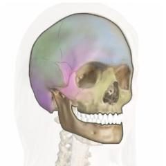 Cranial Code