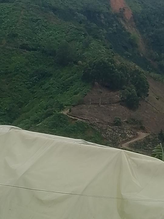 Reidonson Rueda duque