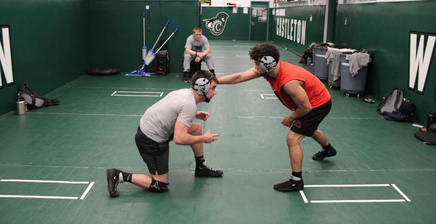 Advanced Combat sports Strength program