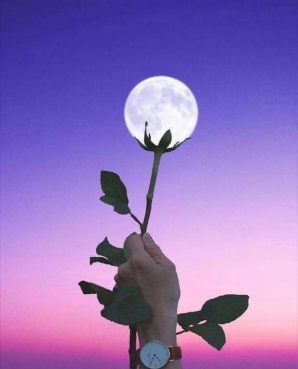 Mariam Mouloudi