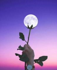 Mariam Mouloudi