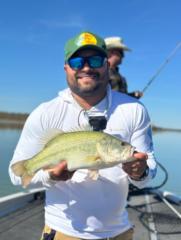 Mario Antonio Figueroa Valdés