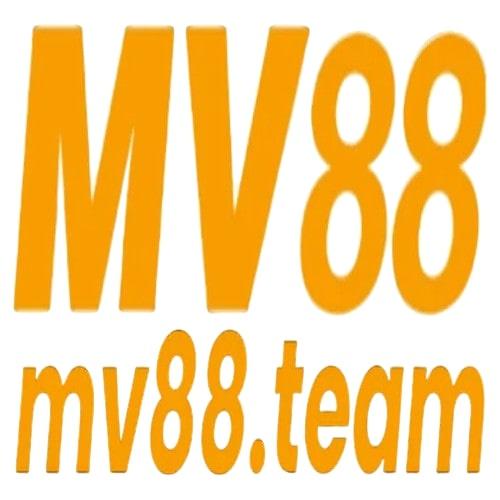 Mv Team
