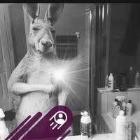 Rodrigo González Moya