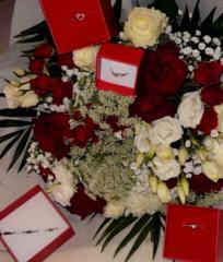 Faïza Ahmamouti-achour