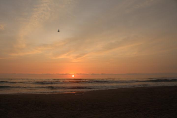 José Omar Cárdenas