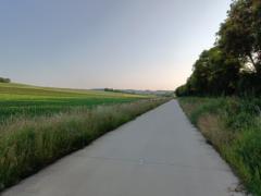 Quinten Vm
