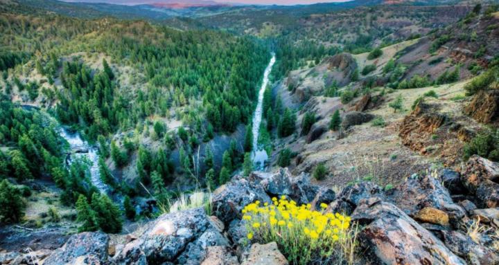 Oregon RHTP Catalyst Award Hub