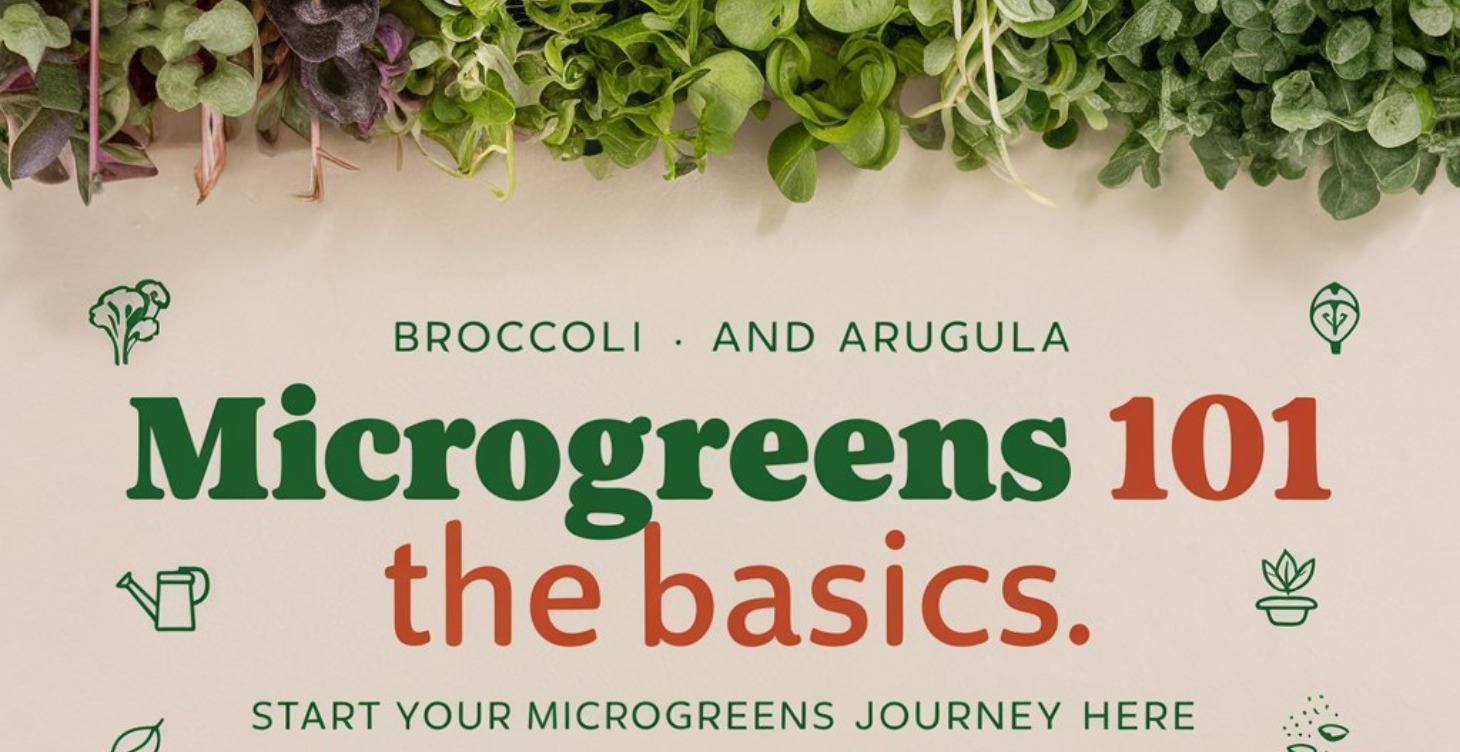 Microgreens Business Coaching Starter