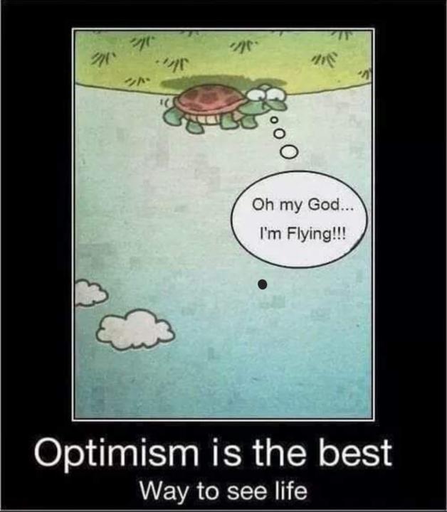 It's all about perspective.... 🐢