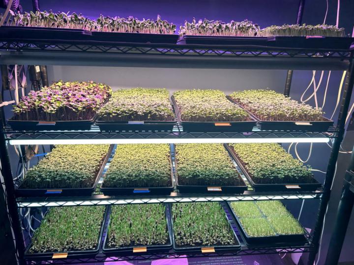 Growing more excited (nervous)