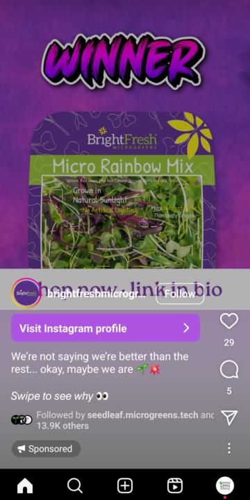 BrightFresh IG Ads