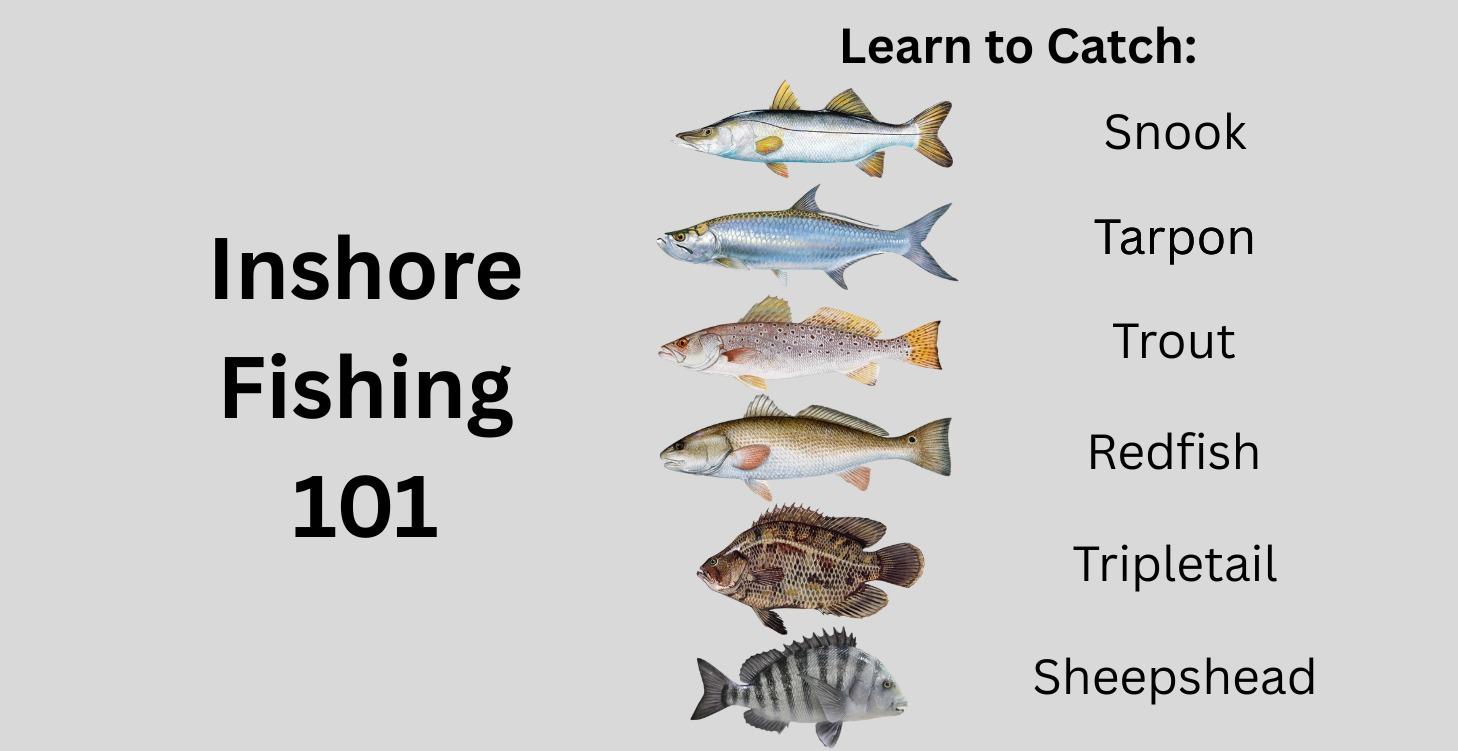 Inshore Saltwater Fishing 101