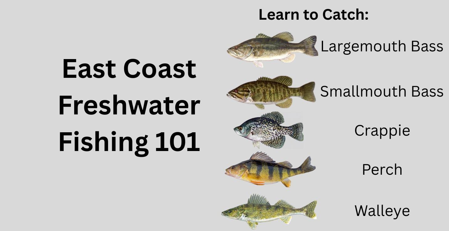 Freshwater Fishing 101