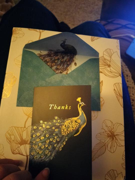 Seven day challenge: letter of Hope