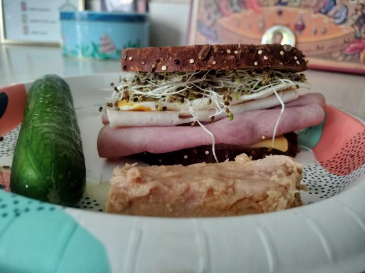 Day 2: Taste of Novelty 🥪