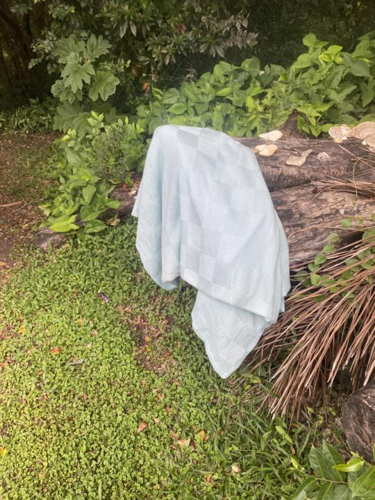 7 Day challenge- Day 2- micro safari