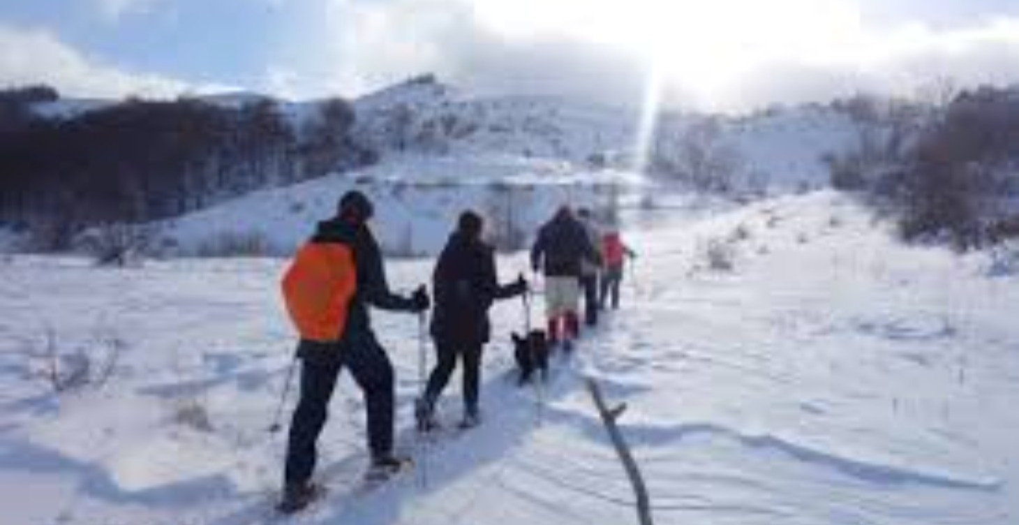 JAM Dreamers Program