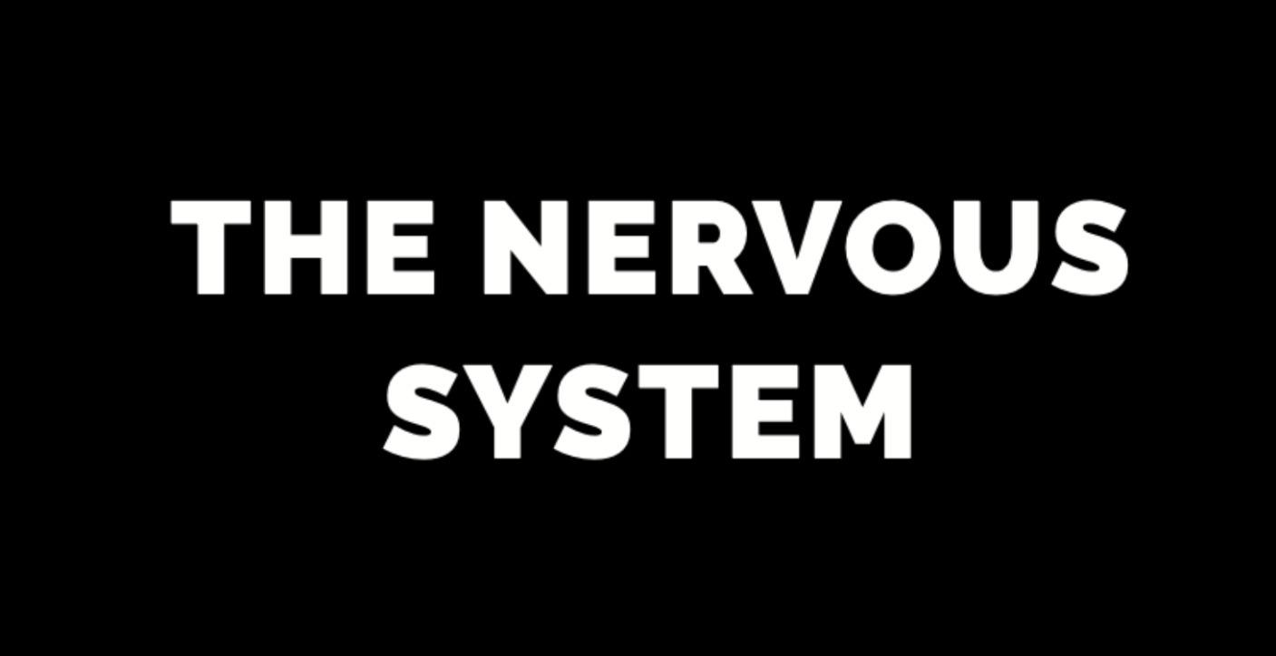 The Nervous System informed Certificate