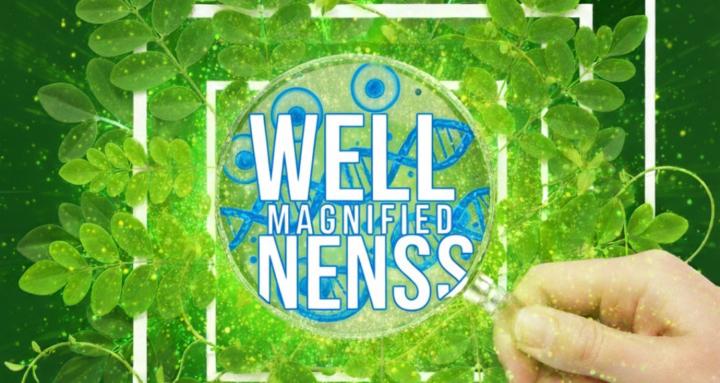 Wellness Magnified