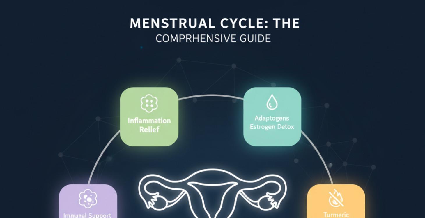 Menstrual Cycle The Comprehensive Guide