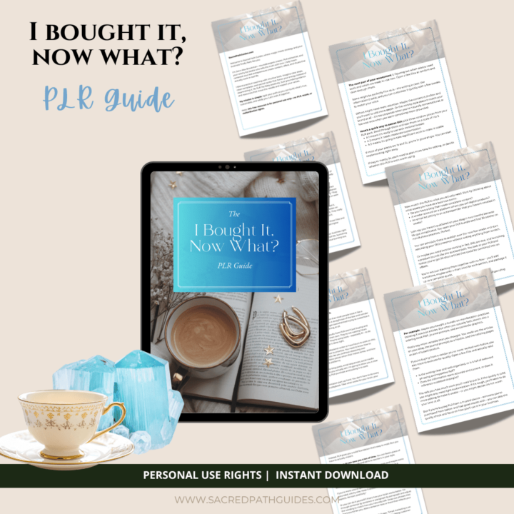 I bought it, now what? PLR workbook