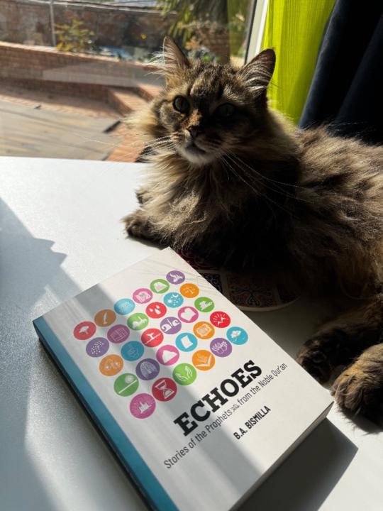 Bibi Ayesha Bismilla