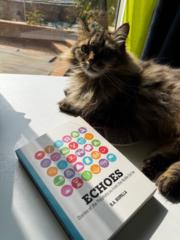 Bibi Ayesha Bismilla