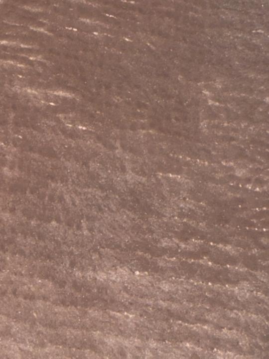 ورود الشريف