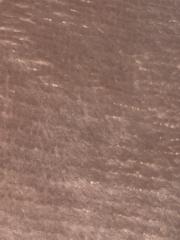 ورود الشريف