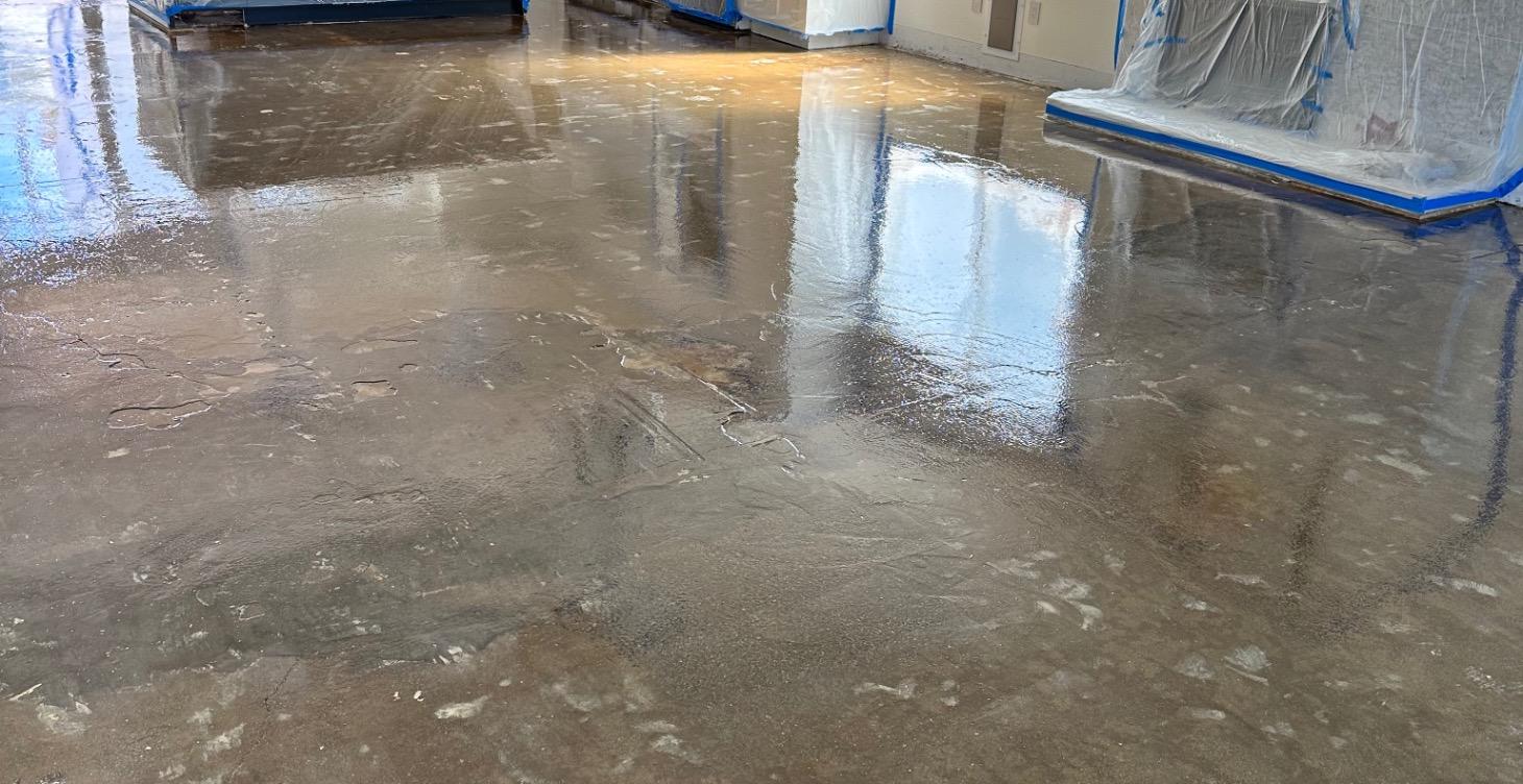 4. Moisture Mitigation Systems