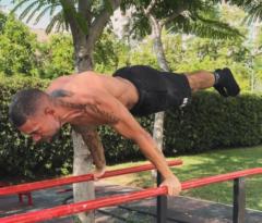 Lewis Salameh