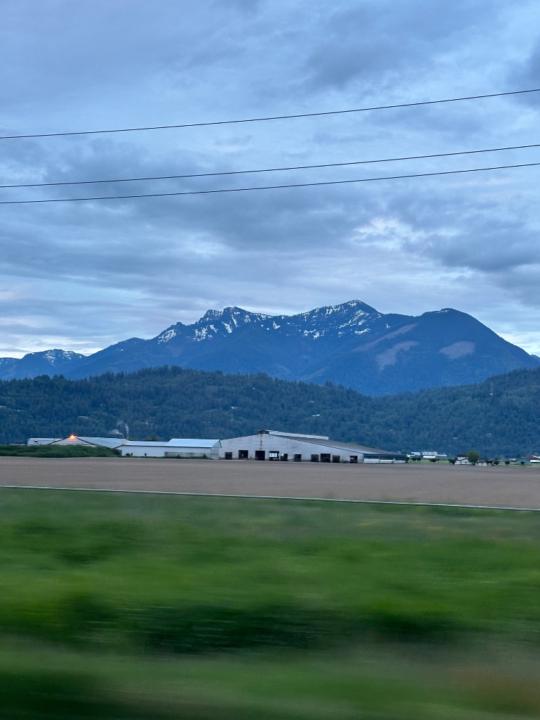 Phoebe Thompson-Morant