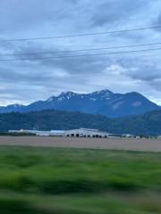 Phoebe Thompson-Morant