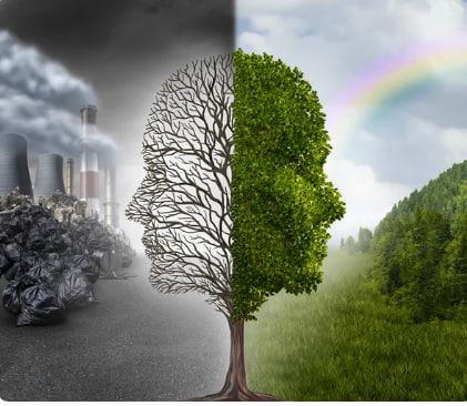 🌱 🏭 Health & Pollution