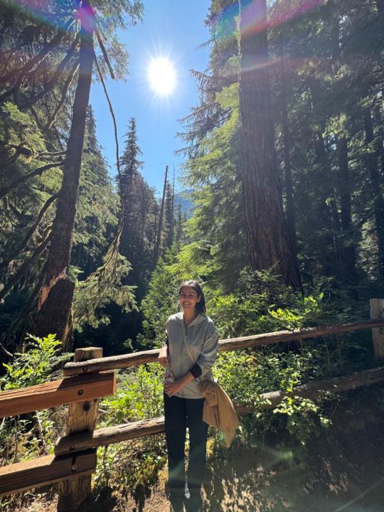 Manvi Parashar