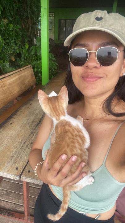 Allison Angulo Castillo