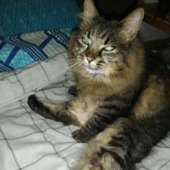 Gert - Pieter Richter