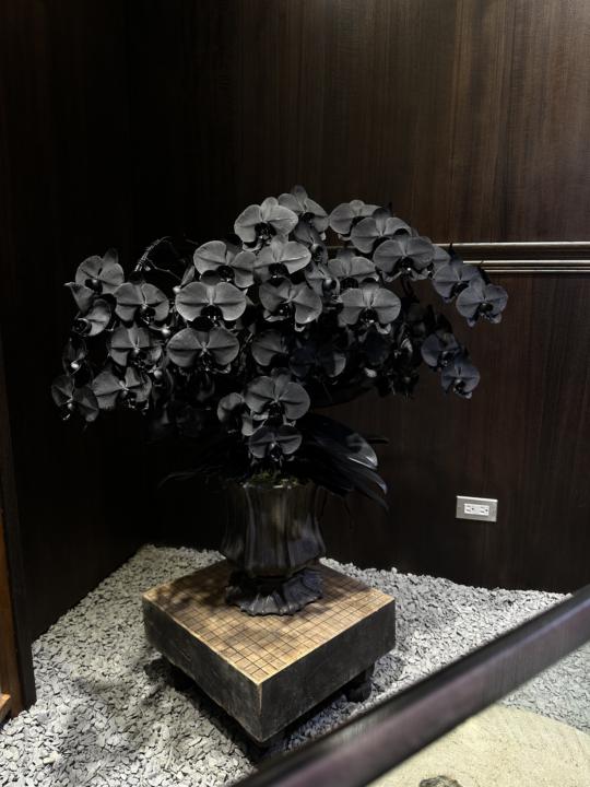 大家好我叫Ryan，我是北部「蘭花批發商」