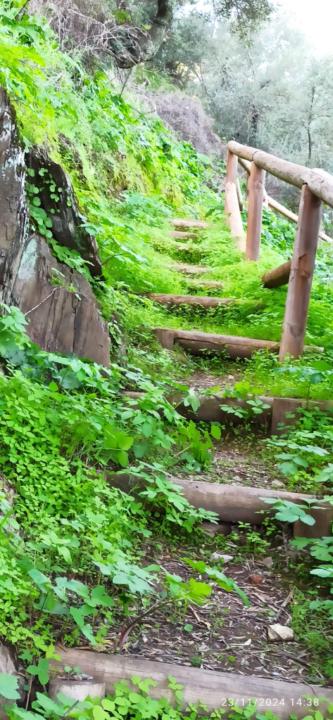 Alicia Capacete Lora