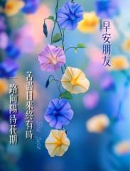 Colby Yu